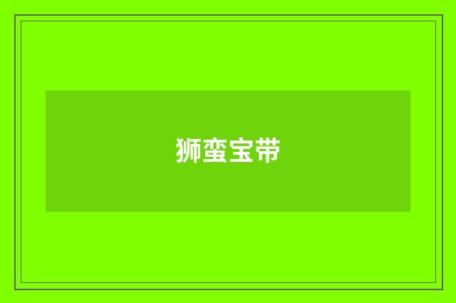 狮蛮宝带