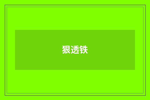 狠透铁