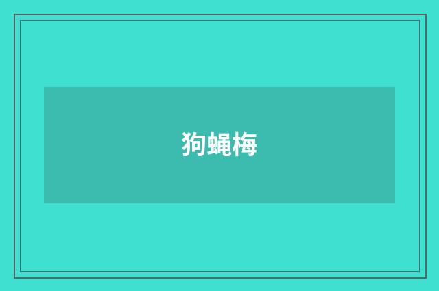 狗蝇梅