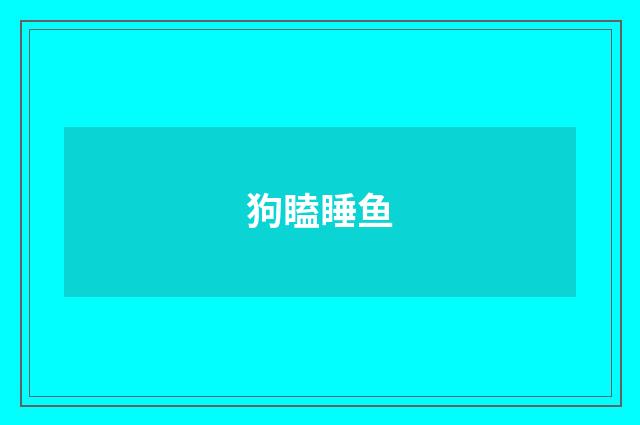 狗瞌睡鱼