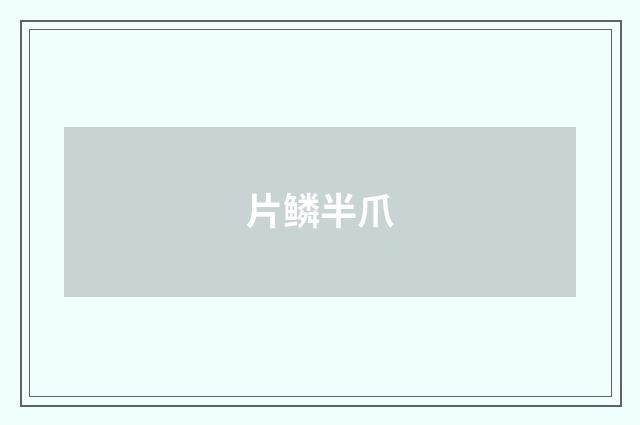 片鳞半爪
