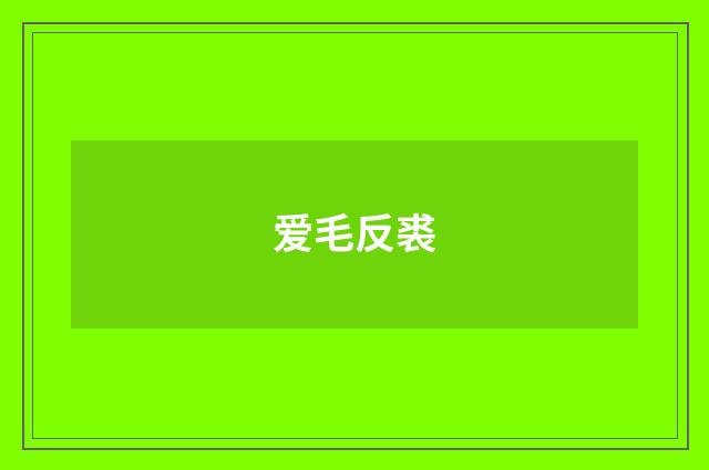 爱毛反裘