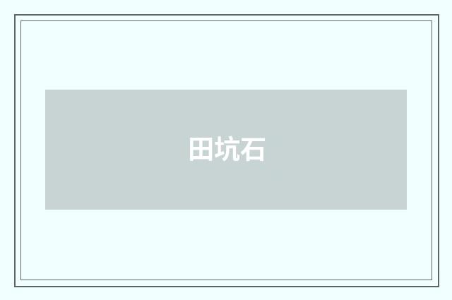 田坑石