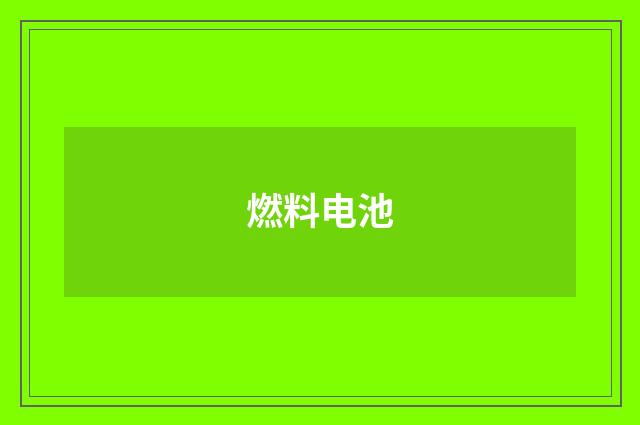 燃料电池
