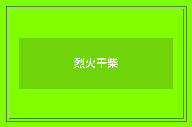 烈火干柴