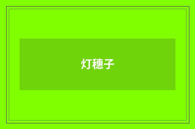 灯穗子