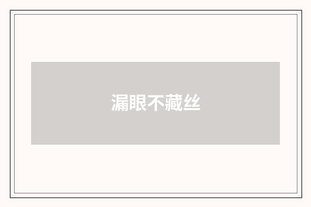 漏眼不藏丝