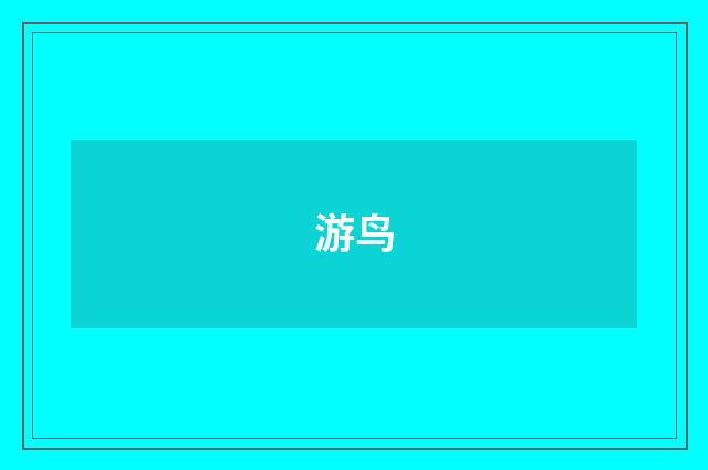 游鸟