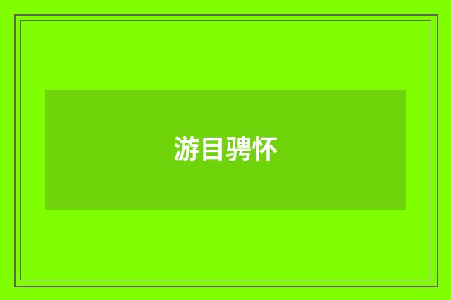 游目骋怀
