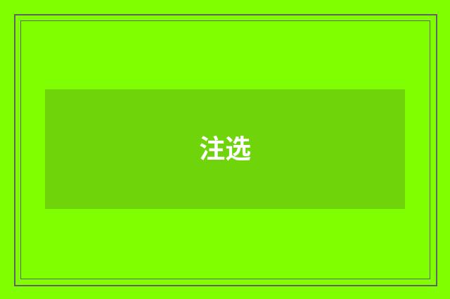 注选