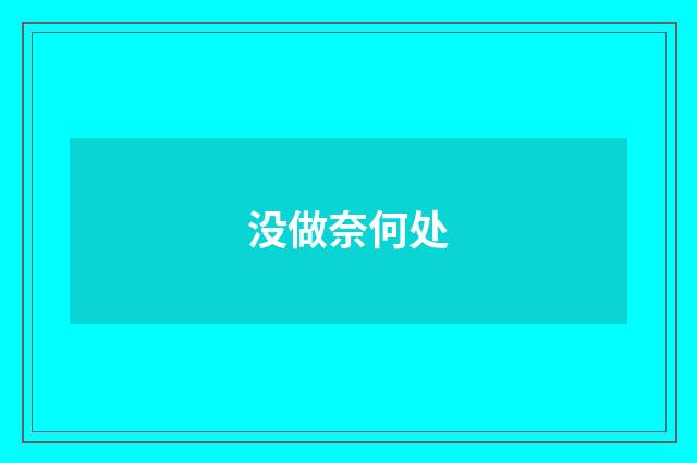 没做奈何处
