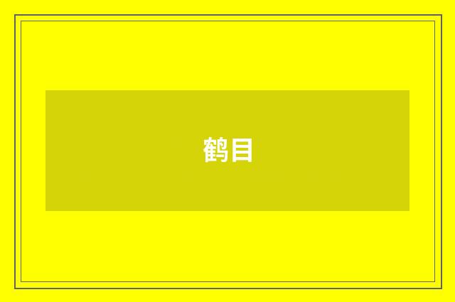 鹤目