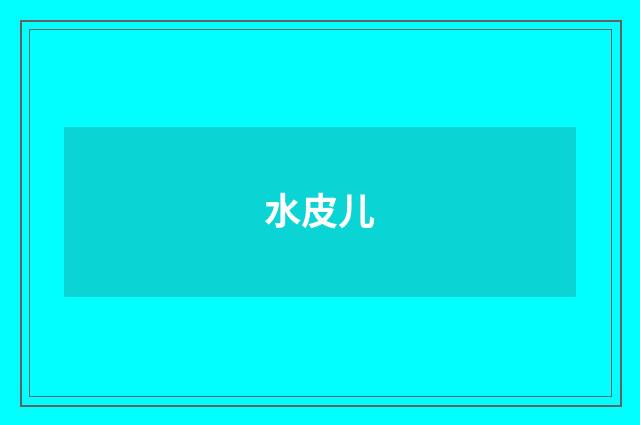 水皮儿