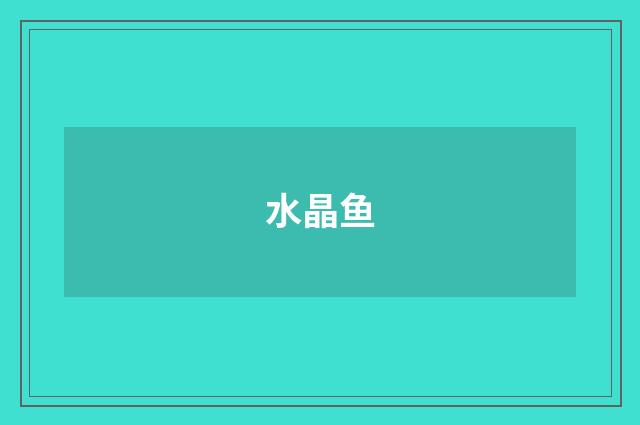 水晶鱼