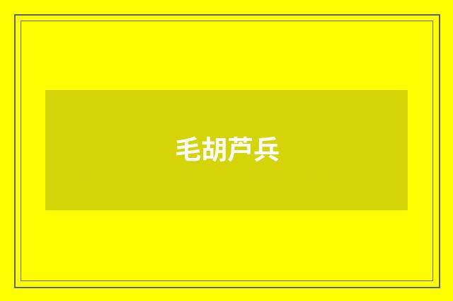 毛胡芦兵