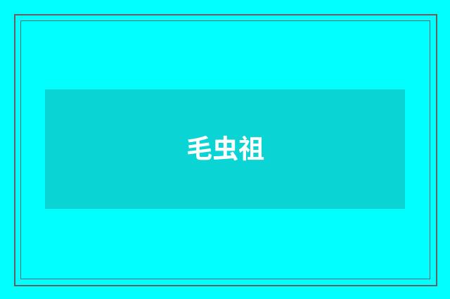 毛虫祖