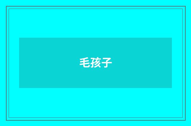 毛孩子