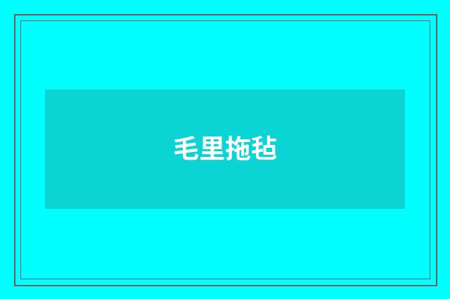 毛里拖毡