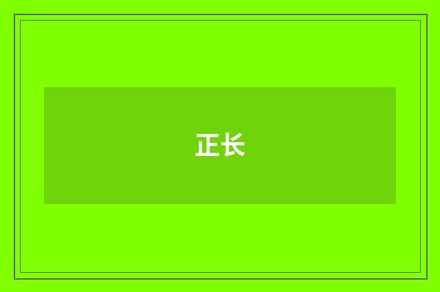 正长