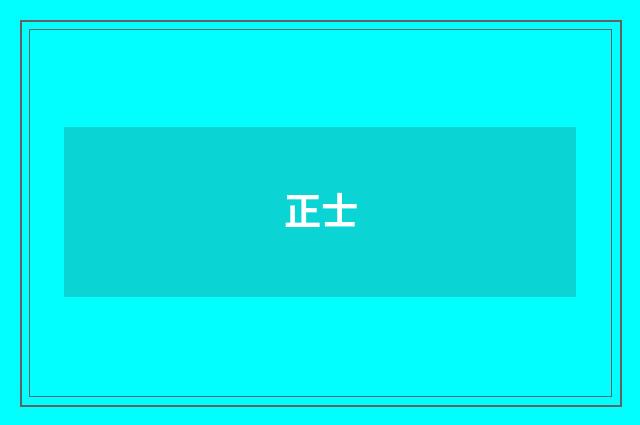 正士