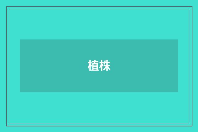 植株