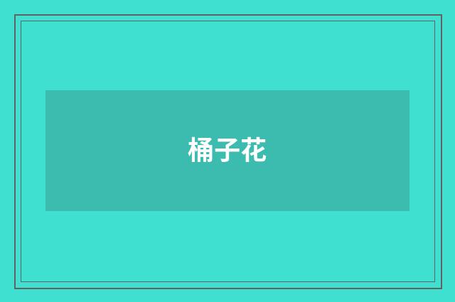 桶子花