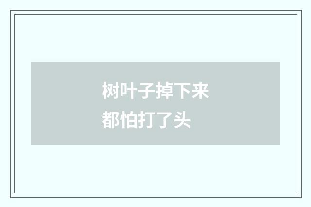 树叶子掉下来都怕打了头