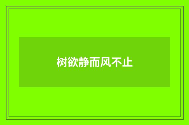 树欲静而风不止