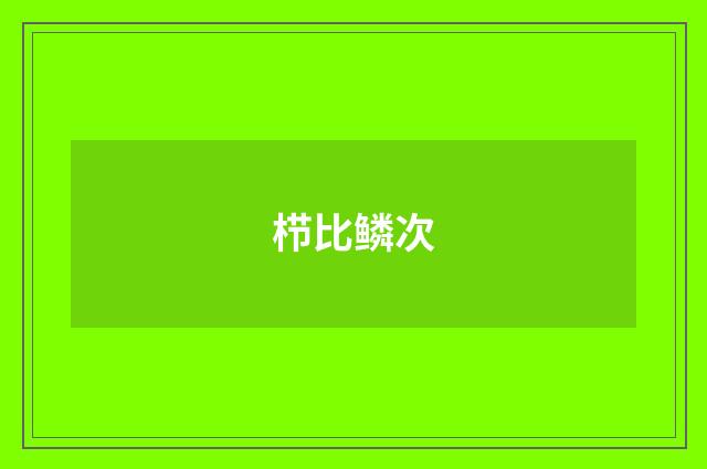 栉比鳞次