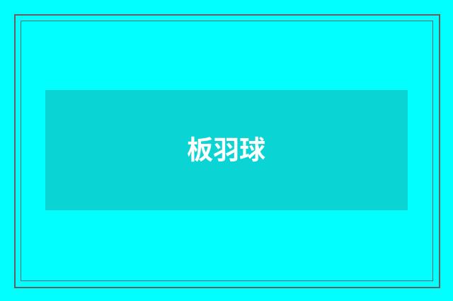 板羽球