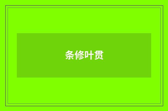 条修叶贯