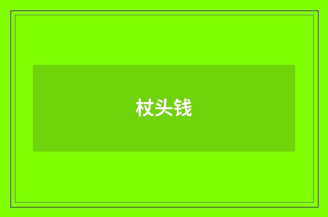 杖头钱