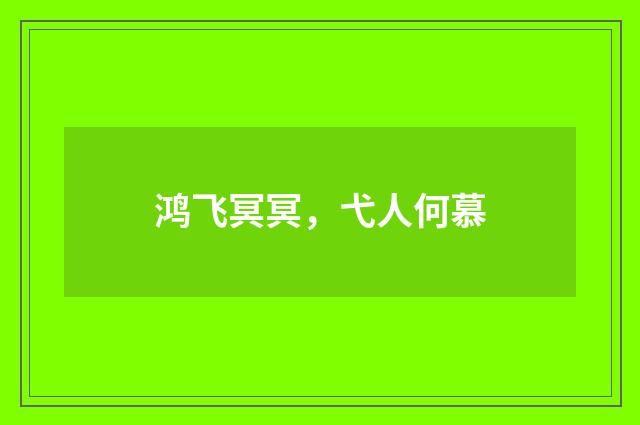 鸿飞冥冥，弋人何慕