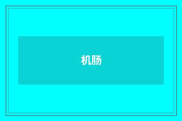 机肠