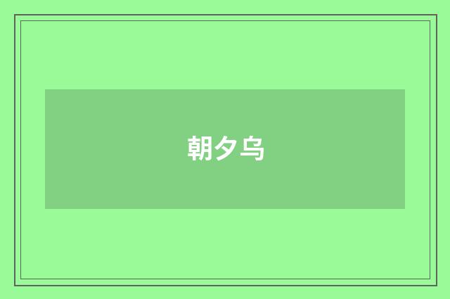 朝夕乌