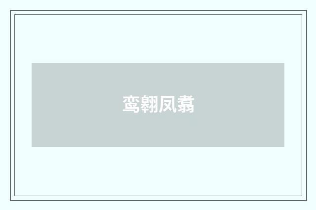 鸾翱凤翥