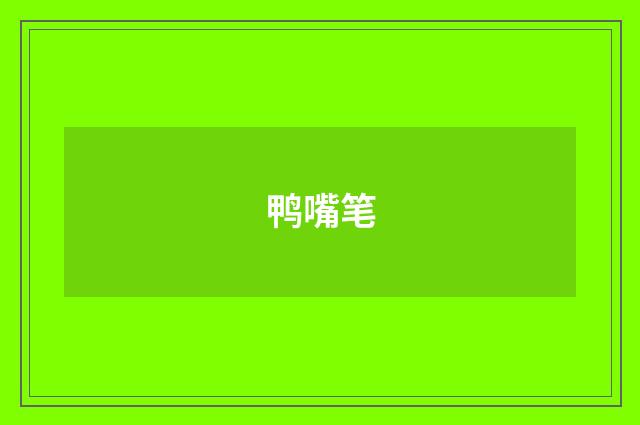 鸭嘴笔