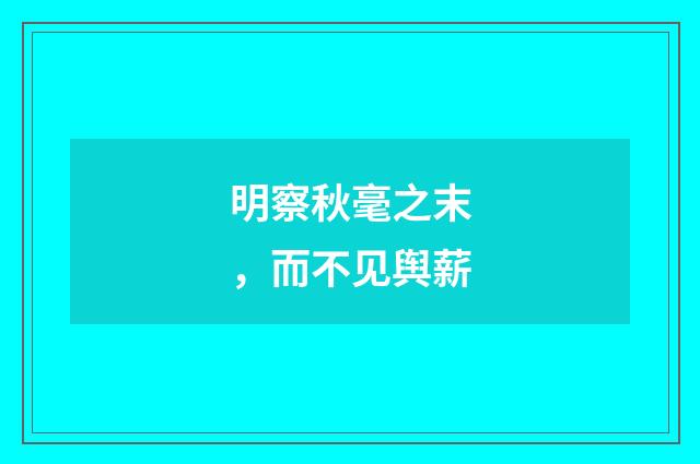 明察秋毫之末，而不见舆薪