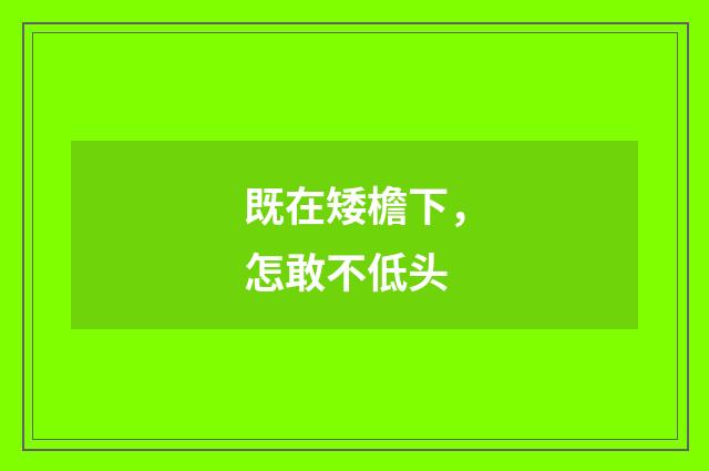 既在矮檐下，怎敢不低头