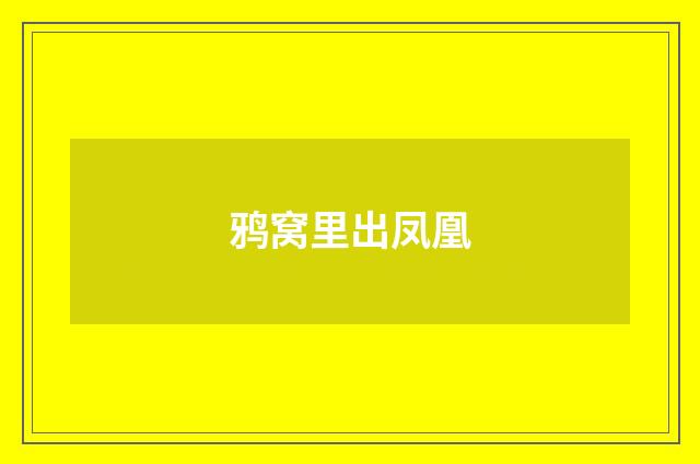 鸦窝里出凤凰