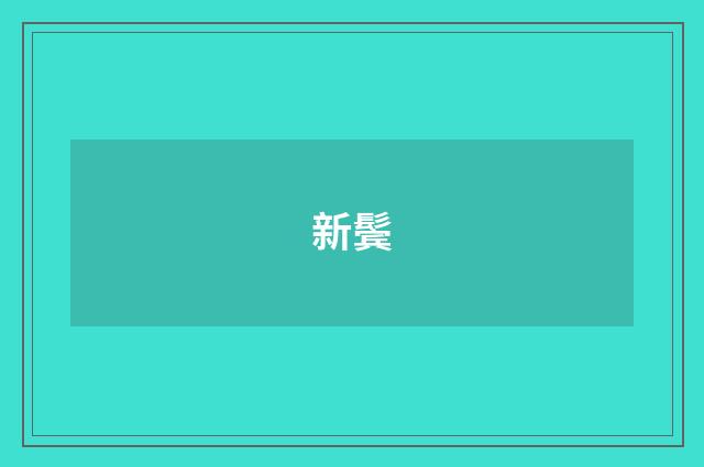 新鬓