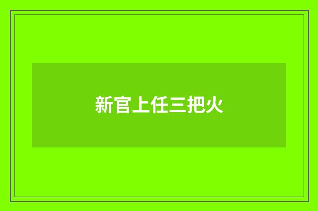 新官上任三把火