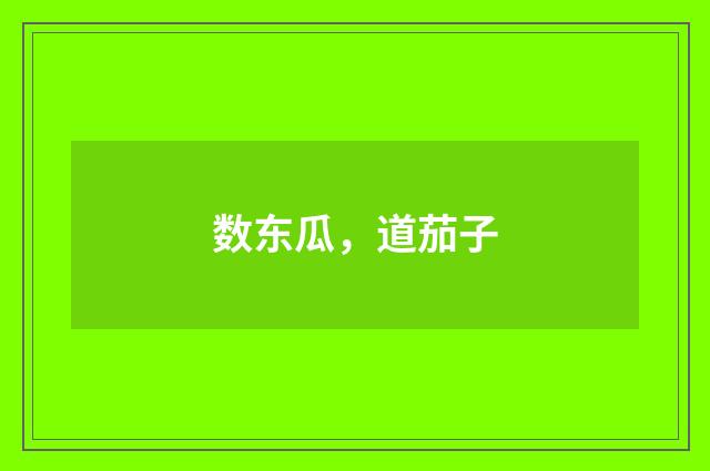 数东瓜，道茄子