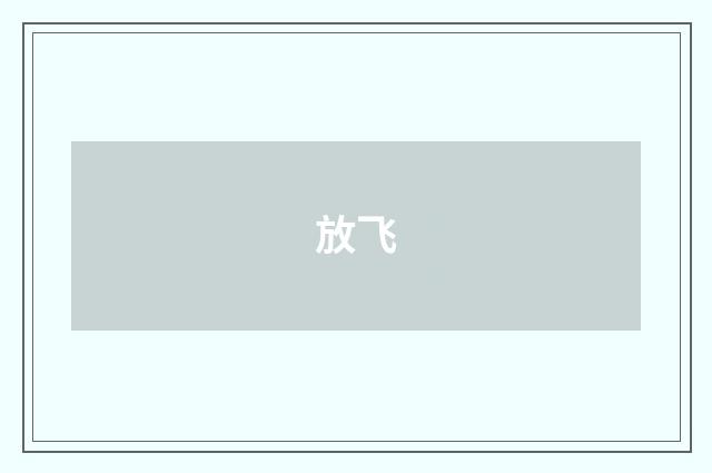 放飞