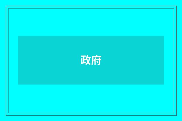 政府