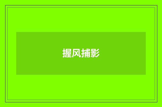 握风捕影