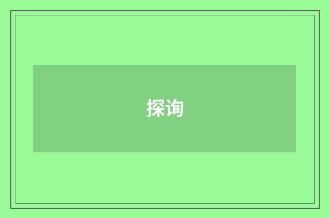 探询