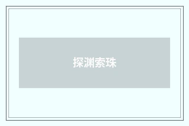 探渊索珠