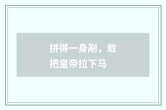 拼得一身剐，敢把皇帝拉下马