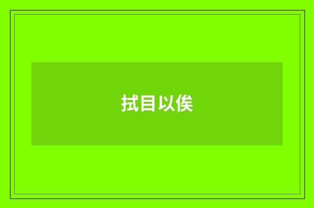 拭目以俟